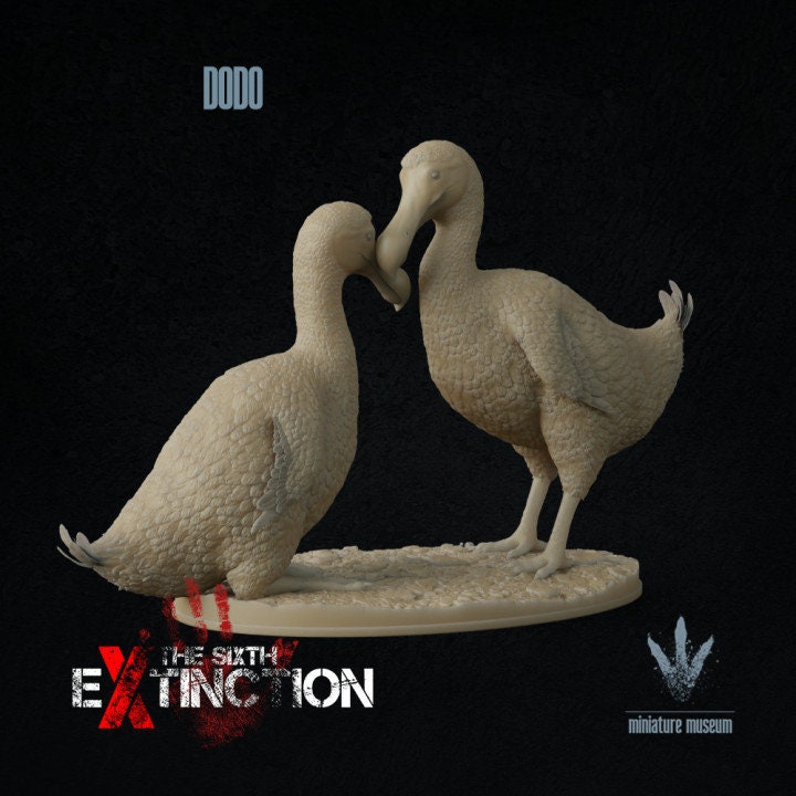 Dodo : A Couple of Dodos - UNPAINTED - Miniature Museum