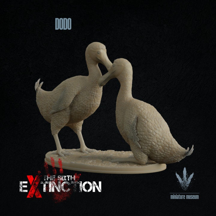 Dodo : A Couple of Dodos - UNPAINTED - Miniature Museum
