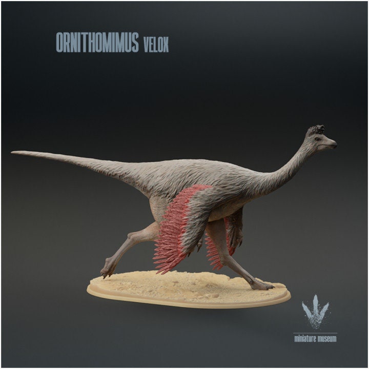 Ornithomimus velox : Running - UNPAINTED - Miniature Museum