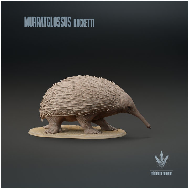 Murrayglossus hacketti : Giant Echidna - UNPAINTED - Miniature Museum