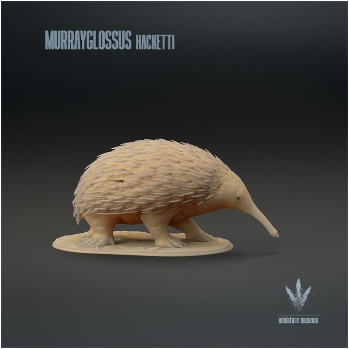 Murrayglossus hacketti : Giant Echidna - UNPAINTED - Miniature Museum