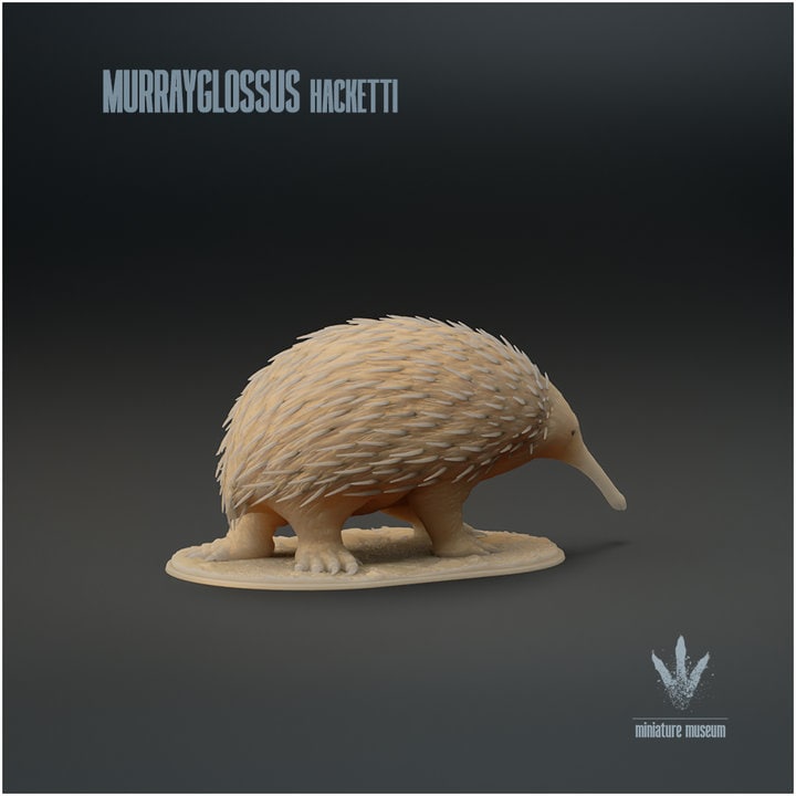 Murrayglossus hacketti : Giant Echidna - UNPAINTED - Miniature Museum