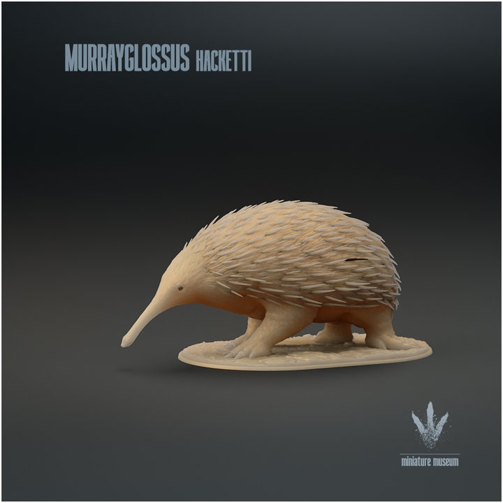 Murrayglossus hacketti : Giant Echidna - UNPAINTED - Miniature Museum
