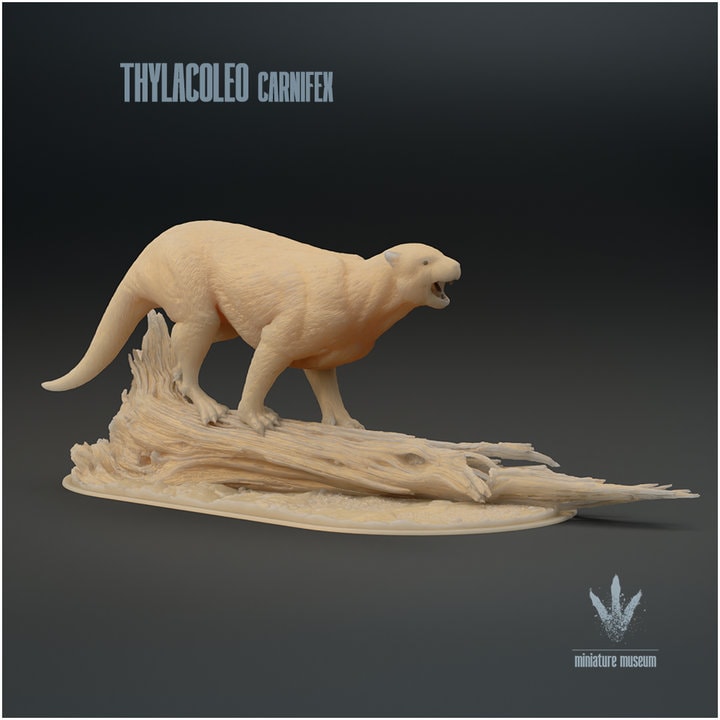 Thylacoleo carnifex : Snarl - UNPAINTED - Miniature Museum