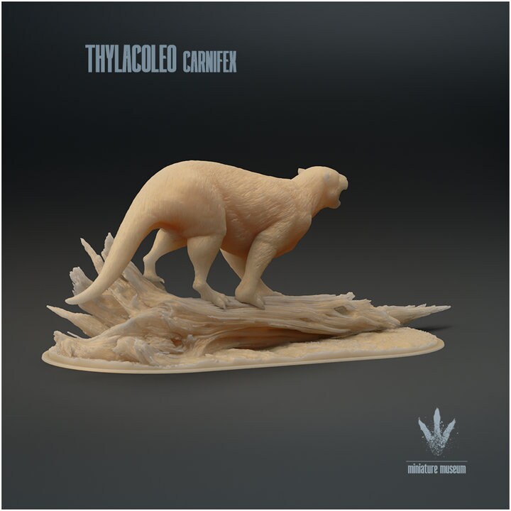 Thylacoleo carnifex : Snarl - UNPAINTED - Miniature Museum