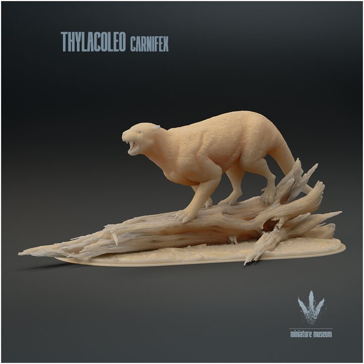 Thylacoleo carnifex : Snarl - UNPAINTED - Miniature Museum
