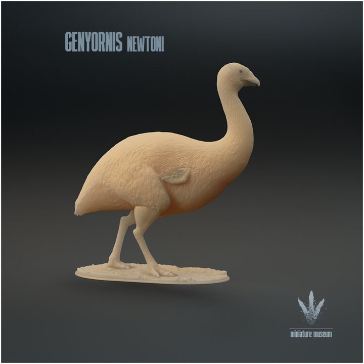 Genyornis newtoni : The Thunder Bird - UNPAINTED - Miniature Museum