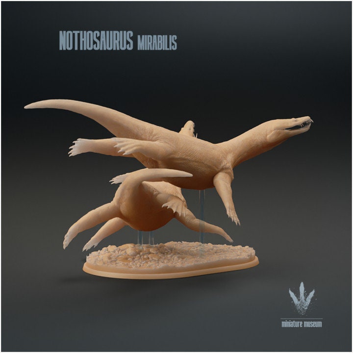Nothosaurus mirabilis : Swimming - UNPAINTED - Miniature Museum