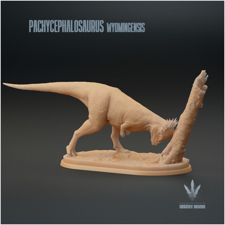 Pachycephalosaurus wyomingensis - UNPAINTED - Miniature Museum