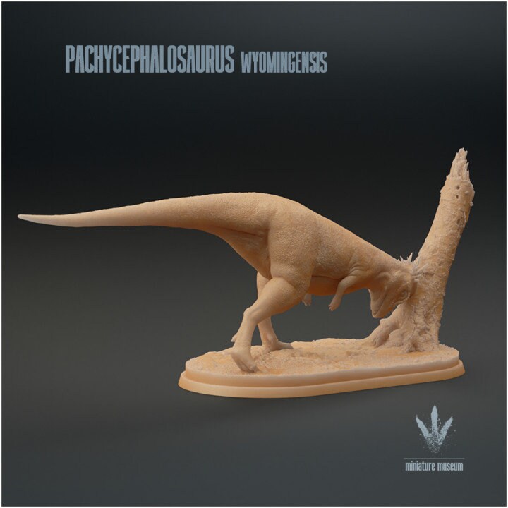 Pachycephalosaurus wyomingensis - UNPAINTED - Miniature Museum