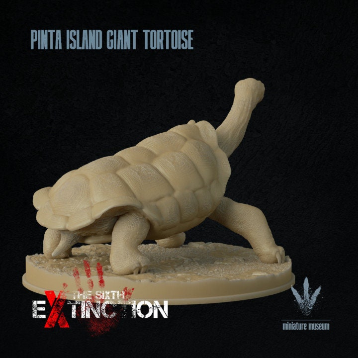 Pinta Island tortoise : Chelonoidis niger abingdonii - UNPAINTED - Miniature Museum