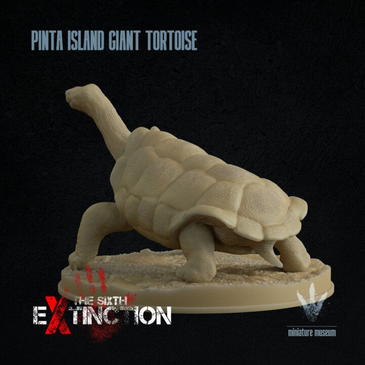 Pinta Island tortoise : Chelonoidis niger abingdonii - UNPAINTED - Miniature Museum