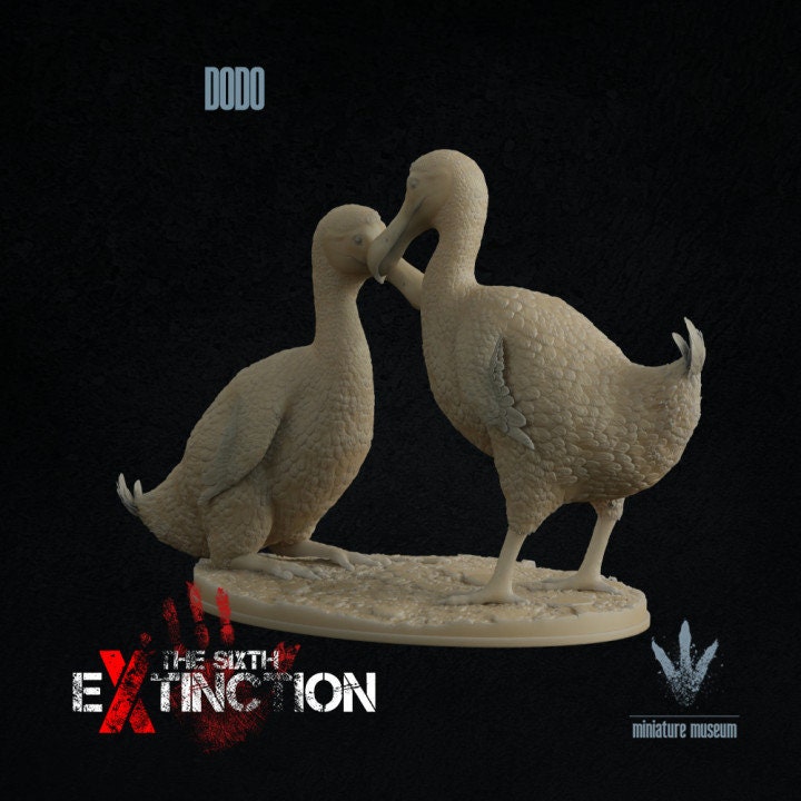 Dodo : A Couple of Dodos - UNPAINTED - Miniature Museum