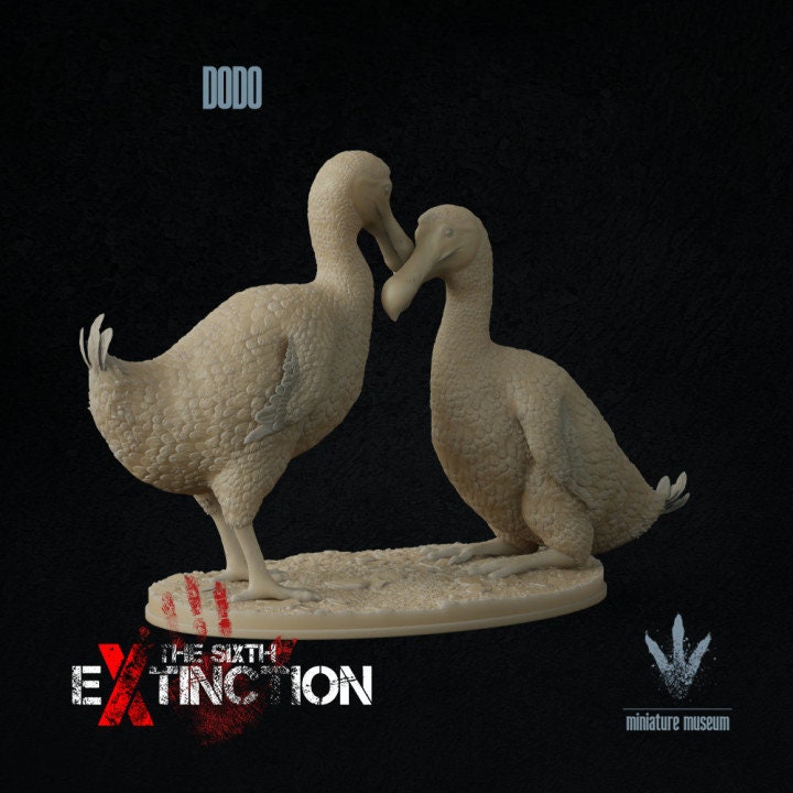 Dodo : A Couple of Dodos - UNPAINTED - Miniature Museum