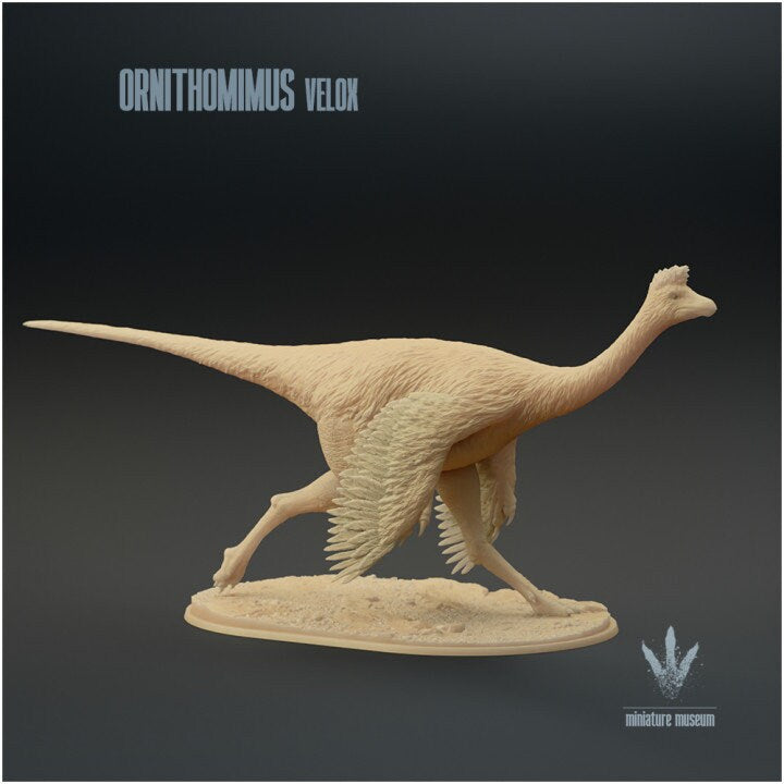 Ornithomimus velox : Running - UNPAINTED - Miniature Museum