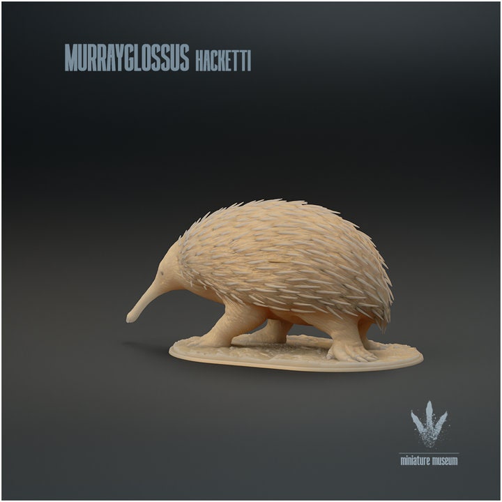 Murrayglossus hacketti : Giant Echidna - UNPAINTED - Miniature Museum