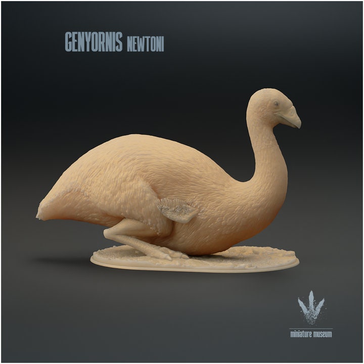 Genyornis newtoni : Sitting - UNPAINTED - Miniature Museum