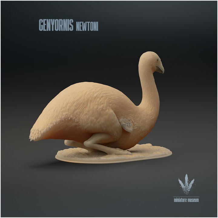 Genyornis newtoni : Sitting - UNPAINTED - Miniature Museum