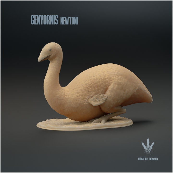Genyornis newtoni : Sitting - UNPAINTED - Miniature Museum