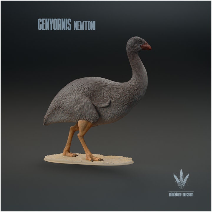 Genyornis newtoni : The Thunder Bird - UNPAINTED - Miniature Museum