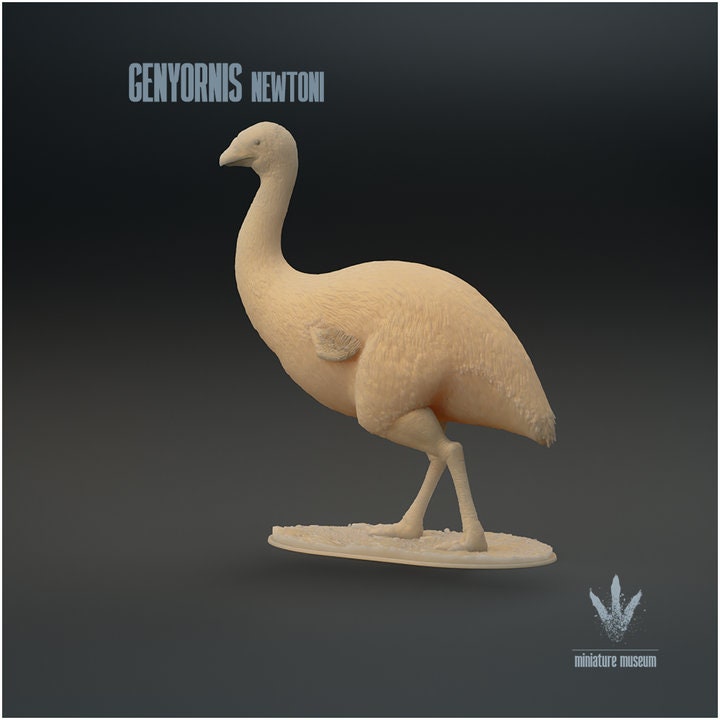 Genyornis newtoni : The Thunder Bird - UNPAINTED - Miniature Museum