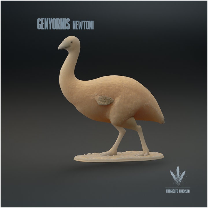 Genyornis newtoni : The Thunder Bird - UNPAINTED - Miniature Museum