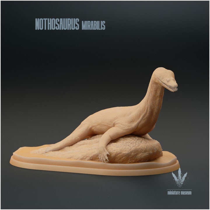 Nothosaurus mirabilis : Resting - UNPAINTED - Miniature Museum