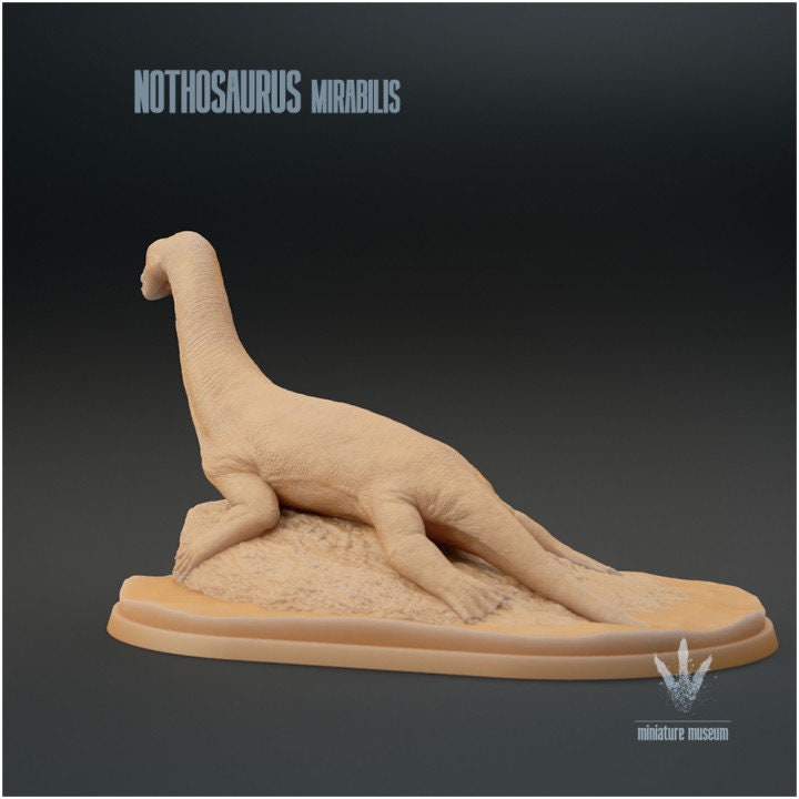 Nothosaurus mirabilis : Resting - UNPAINTED - Miniature Museum