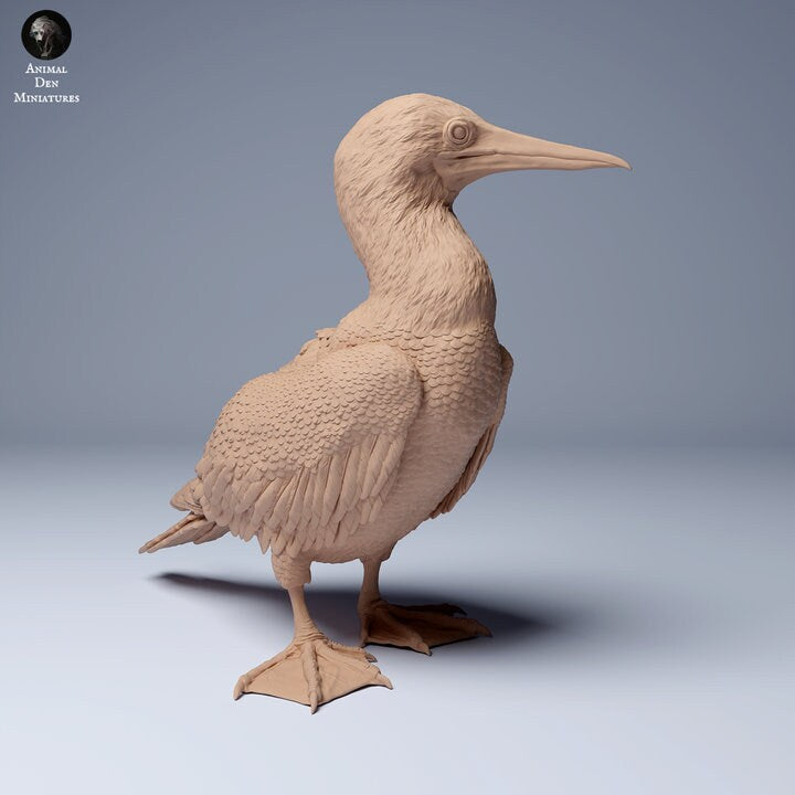 Blue Footed Booby - UNPAINTED - Animal Den Miniatures