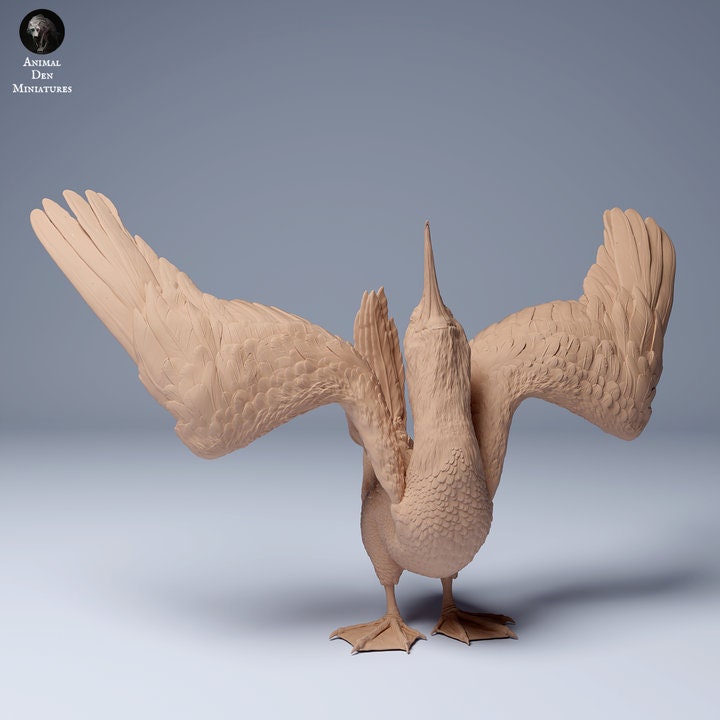 Blue Footed Booby Dance - UNPAINTED - Animal Den Miniatures