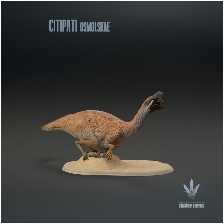 Citipati osmolskae : Big Mama - UNPAINTED - Miniature Museum