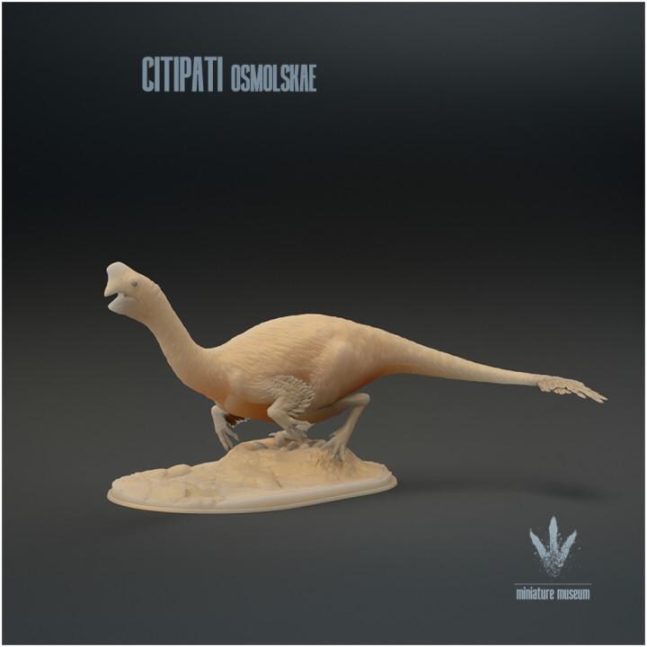 Citipati osmolskae : Big Mama - UNPAINTED - Miniature Museum