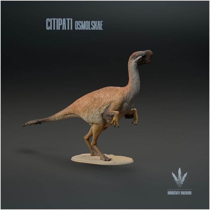 Citipati osmolskae : Mongolian Oviraptor - UNPAINTED - Miniature Museum