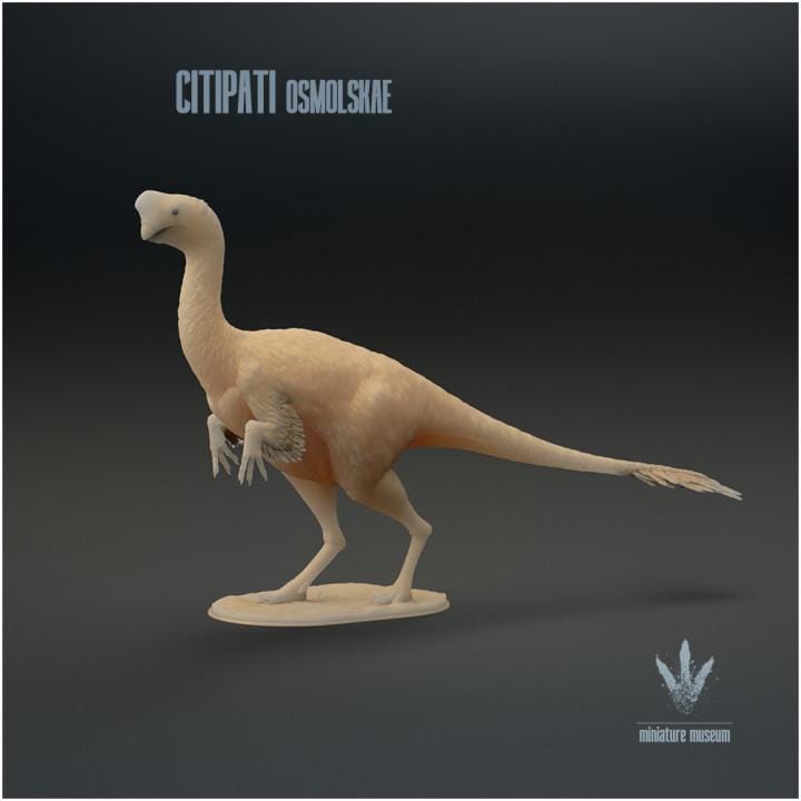 Citipati osmolskae : Mongolian Oviraptor - UNPAINTED - Miniature Museum