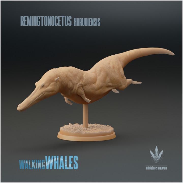 Remingtonocetus harudiensis : The Slender Whale - UNPAINTED - Miniature Museum