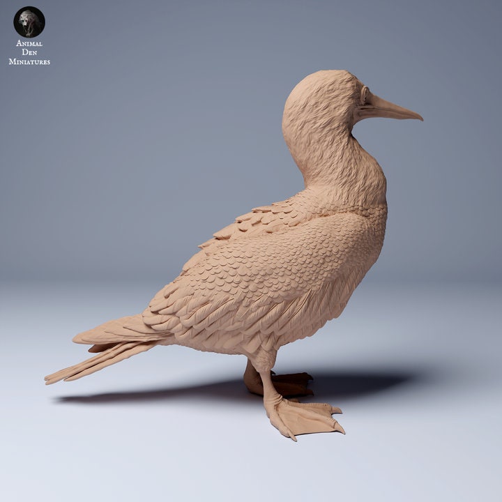 Blue Footed Booby - UNPAINTED - Animal Den Miniatures