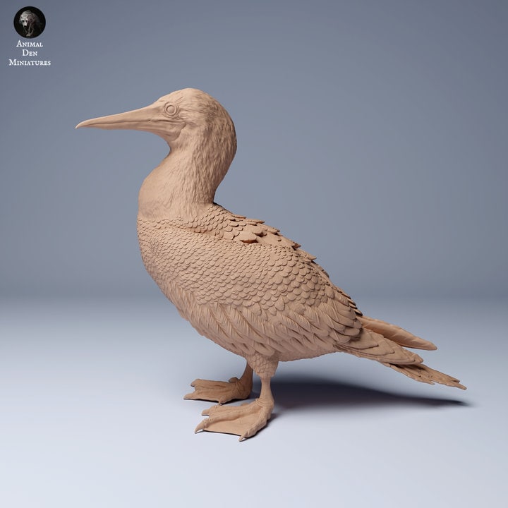 Blue Footed Booby - UNPAINTED - Animal Den Miniatures