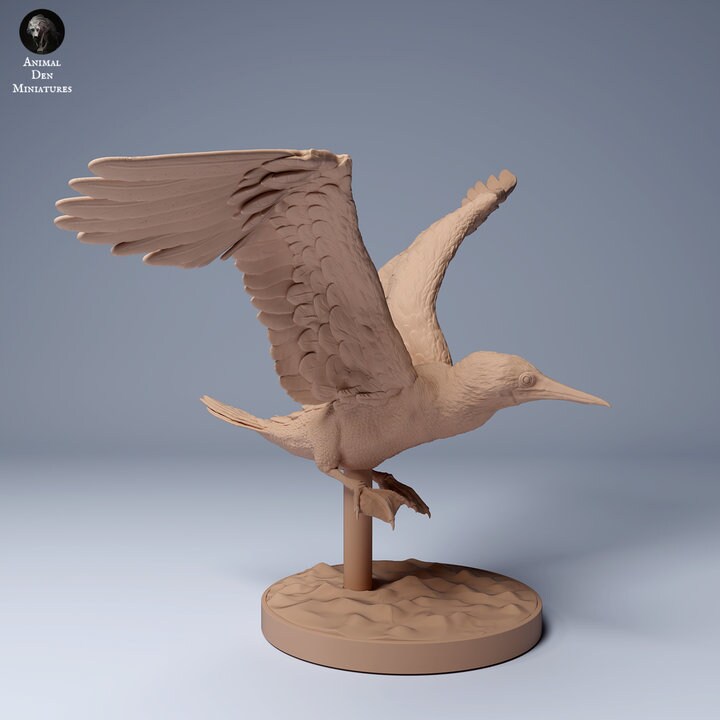 Blue Footed Booby Flying - UNPAINTED - Animal Den Miniatures