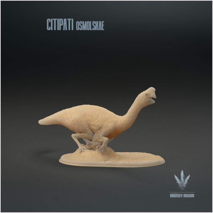 Citipati osmolskae : Big Mama - UNPAINTED - Miniature Museum