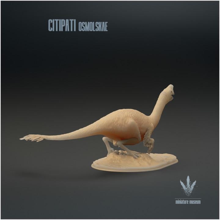 Citipati osmolskae : Big Mama - UNPAINTED - Miniature Museum