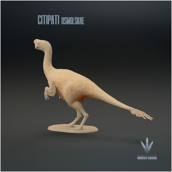 Citipati osmolskae : Mongolian Oviraptor - UNPAINTED - Miniature Museum