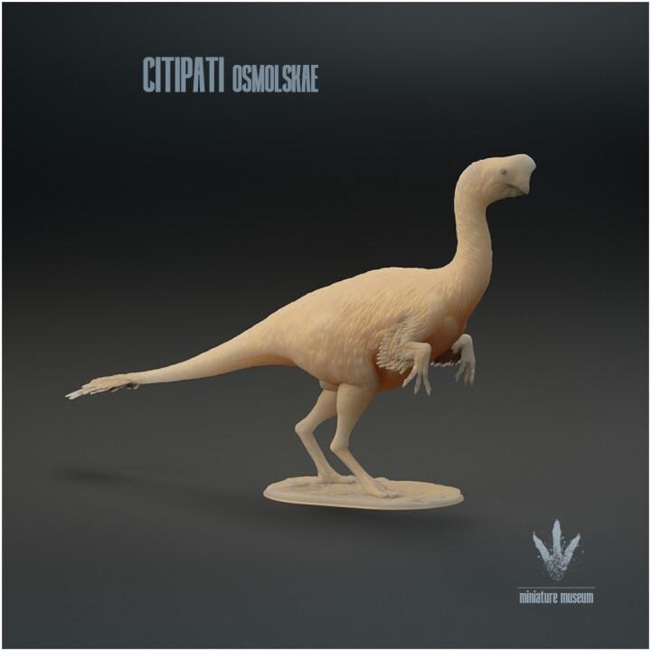 Citipati osmolskae : Mongolian Oviraptor - UNPAINTED - Miniature Museum