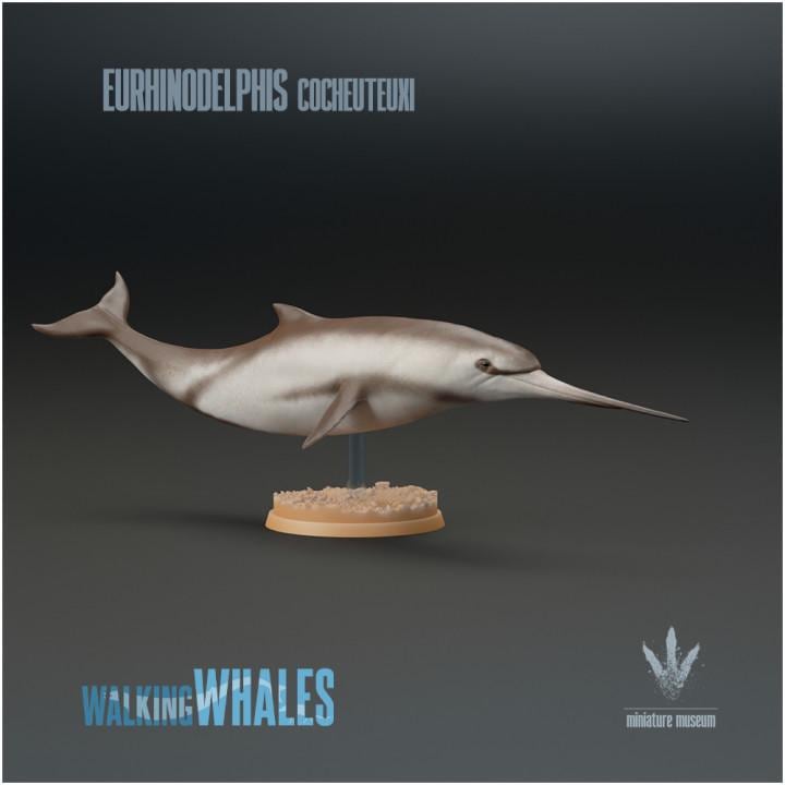 Eurhinodelphis cocheuteuxi : Well-nosed Dolphin - UNPAINTED - Miniature Museum