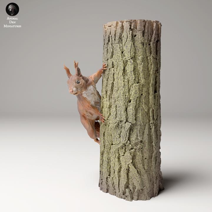 Red squirrel on a Tree - UNPAINTED - Animal Den Miniatures