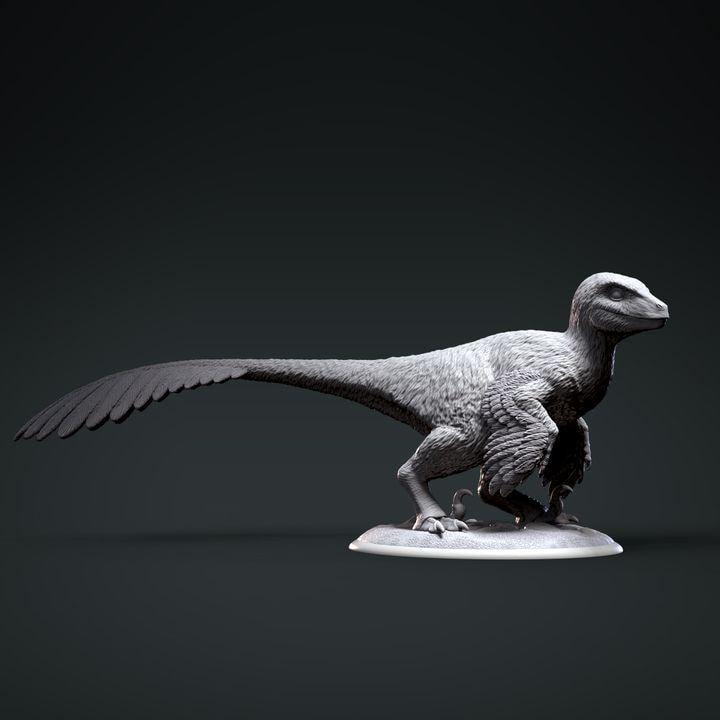 Deinonychus baby - Clynche Art