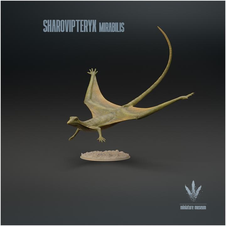 Sharovipteryx mirabilis : The Sharov's wing - UNPAINTED - Miniature Museum