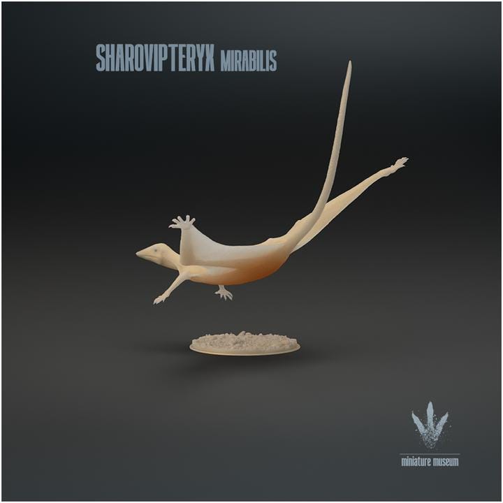 Sharovipteryx mirabilis : The Sharov's wing - UNPAINTED - Miniature Museum