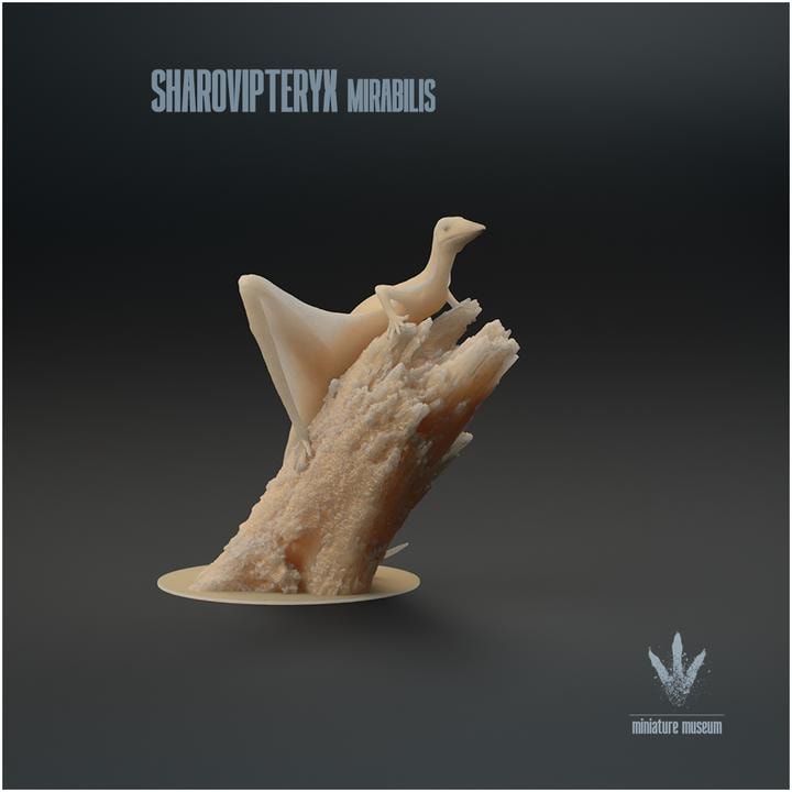 Sharovipteryx mirabilis - Landed - UNPAINTED - Miniature Museum