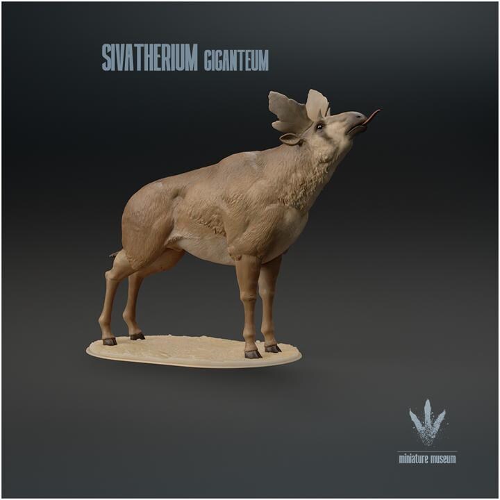 Sivatherium giganteum : Feed - UNPAINTED - Miniature Museum