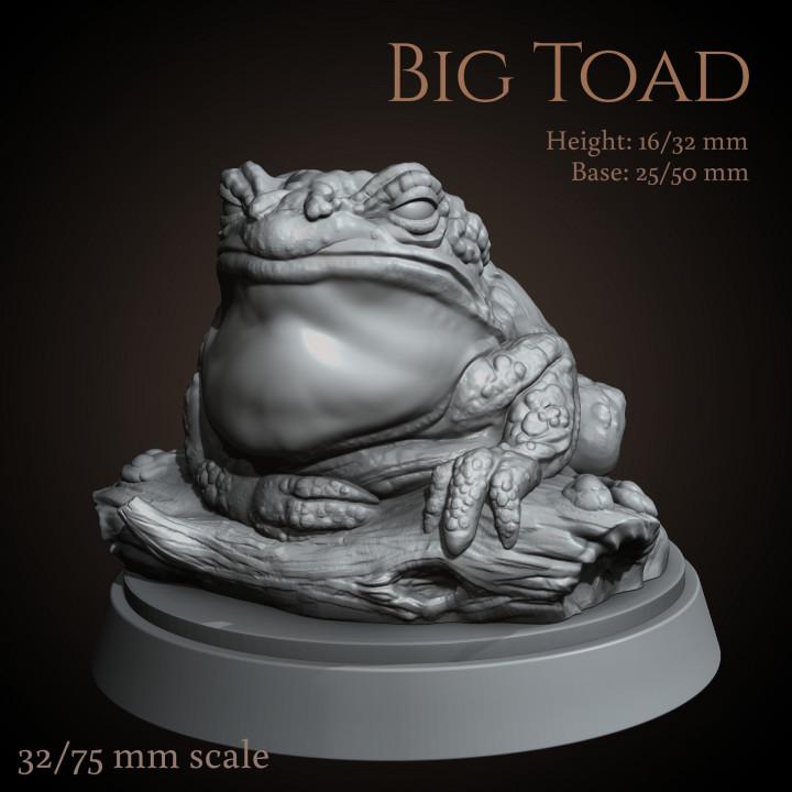 Big Toad - UNPAINTED - Animals & Creatures Minis